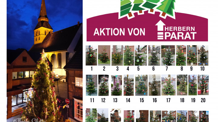 Abstimmung Weihnachtsbäume