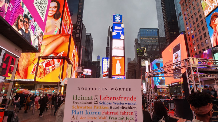 Die Reise um die Welt- 