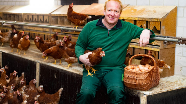 Eier-Versorgung zu Ostern gesichert