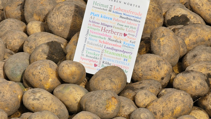 Endlich wieder Kartoffelfest in Herbern