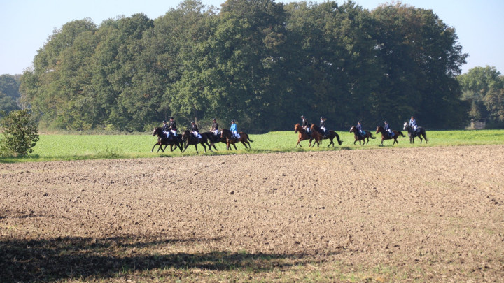 Fuchsschwanzgreifen des Reit- und Fahrvereins „von Nagel“ Herbern