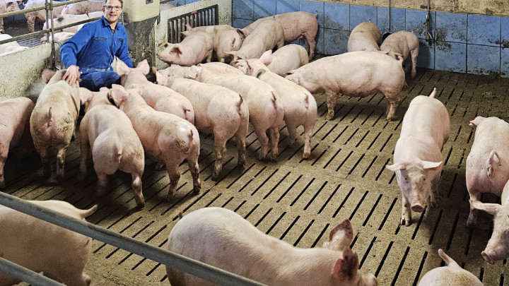 Mehr Tierwohl im Stall - Tobias Großerichter sieht es als Erfolgskonzept