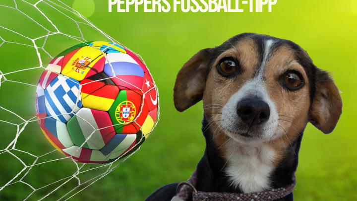 Pepper ist unser Orakel für die Fußball-Europameisterschaft