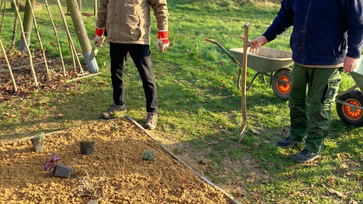 Sandarium für den Heimatgarten